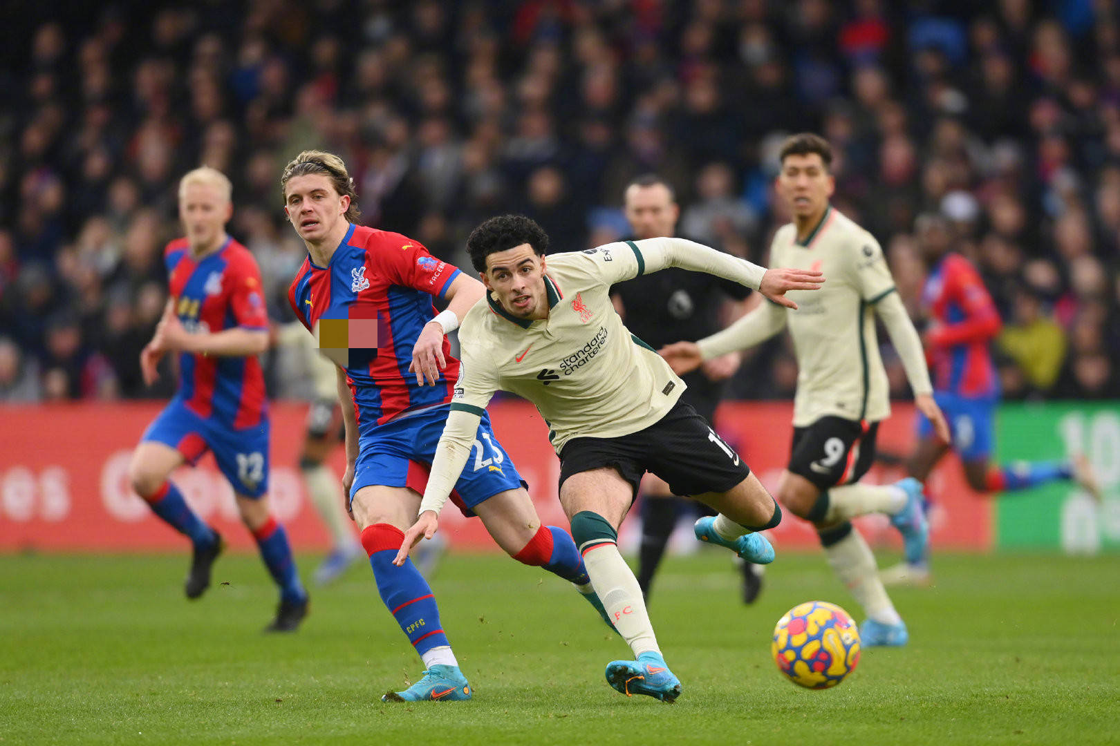 感谢家人 感谢家人